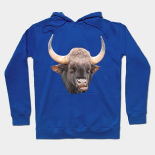 A Guar bull Hoodie